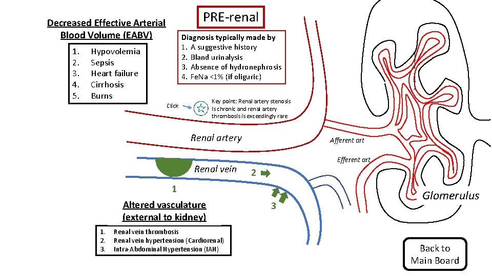 PRE-renal Decreased Effective Arterial Blood Volume (EABV) 1. 2. 3. 4. 5. Diagnosis typically PRE-renal Decreased Effective Arterial Blood Volume (EABV) 1. 2. 3. 4. 5. Diagnosis typically
