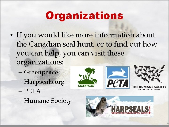Organizations • If you would like more information about the Canadian seal hunt, or