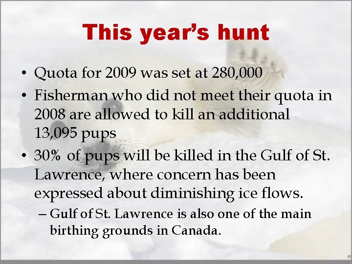 This year’s hunt • Quota for 2009 was set at 280, 000 • Fisherman