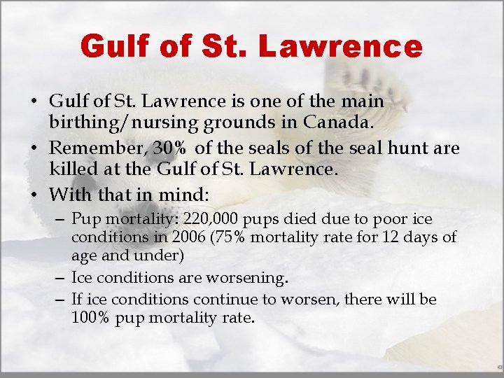 Gulf of St. Lawrence • Gulf of St. Lawrence is one of the main