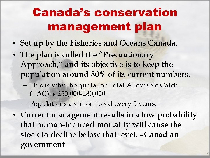 Canada’s conservation management plan • Set up by the Fisheries and Oceans Canada. •