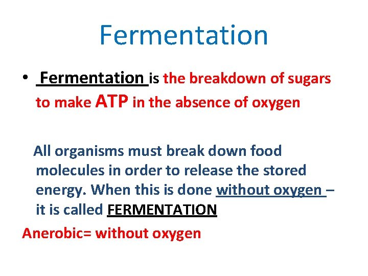 Fermentation • Fermentation is the breakdown of sugars to make ATP in the absence