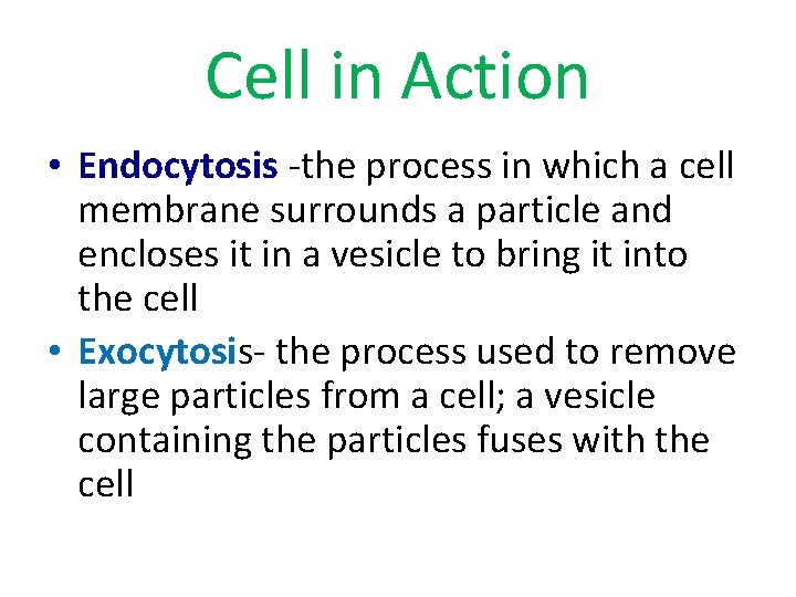 Cell in Action • Endocytosis -the process in which a cell membrane surrounds a