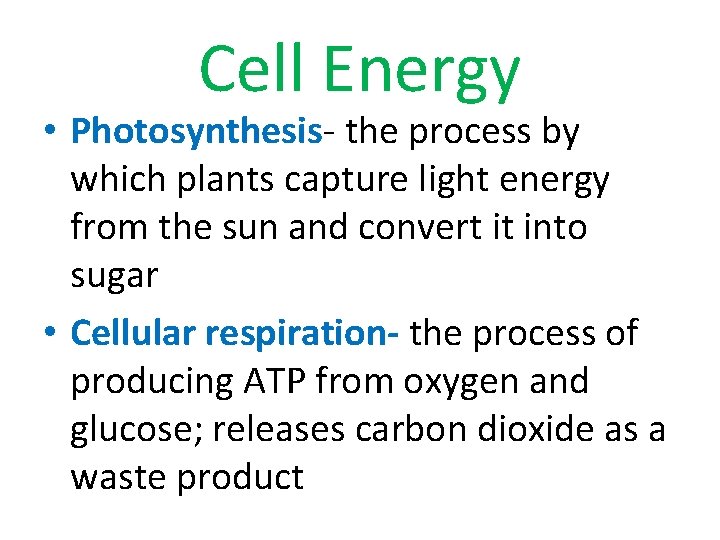 Cell Energy • Photosynthesis- the process by which plants capture light energy from the