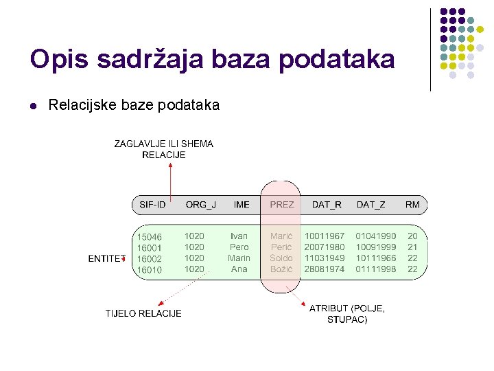 Opis sadržaja baza podataka l Relacijske baze podataka 