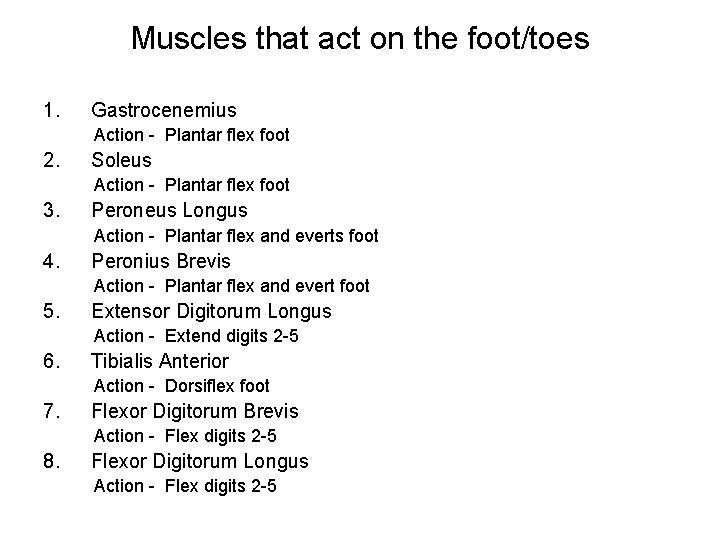 Muscles that act on the foot/toes 1. Gastrocenemius Action - Plantar flex foot 2.