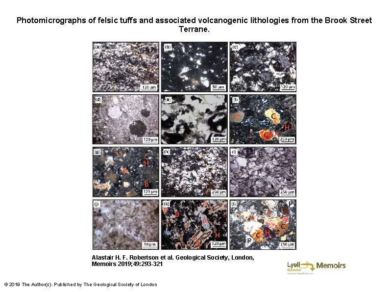 Photomicrographs of felsic tuffs and associated volcanogenic lithologies from the Brook Street Terrane. Alastair