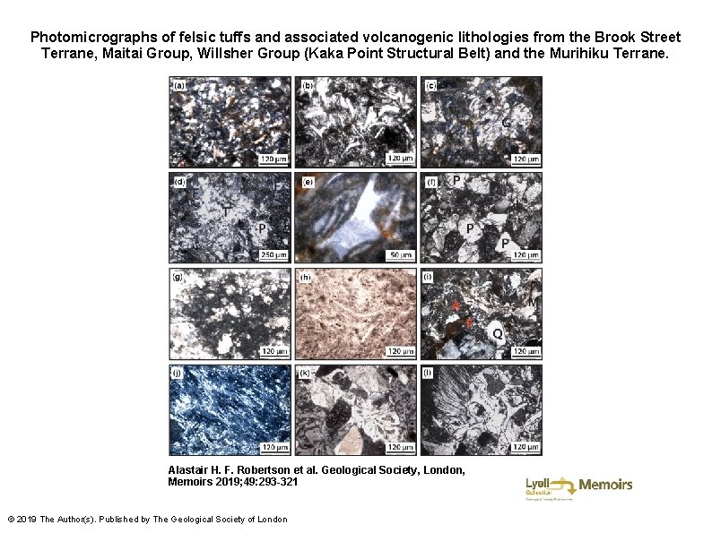 Photomicrographs of felsic tuffs and associated volcanogenic lithologies from the Brook Street Terrane, Maitai