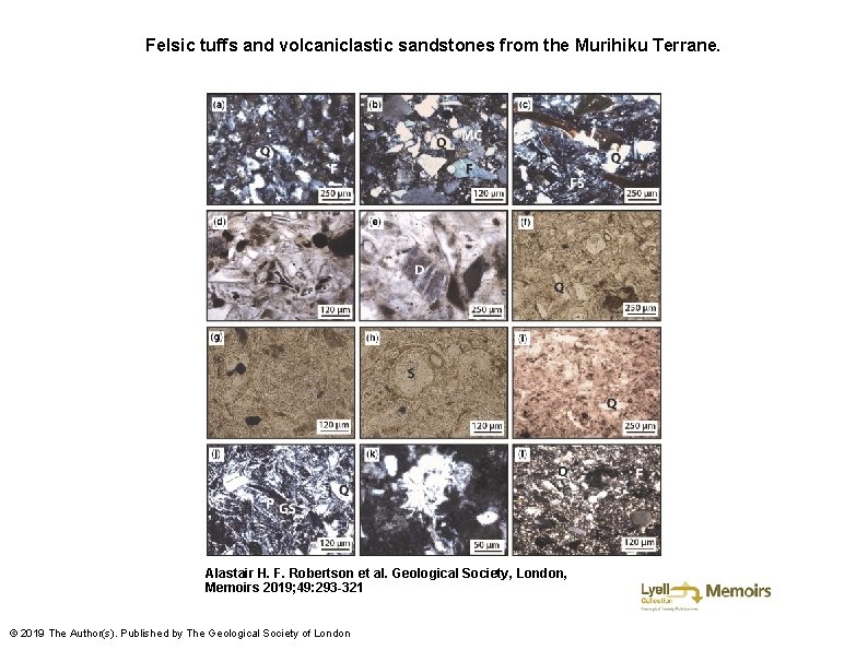 Felsic tuffs and volcaniclastic sandstones from the Murihiku Terrane. Alastair H. F. Robertson et