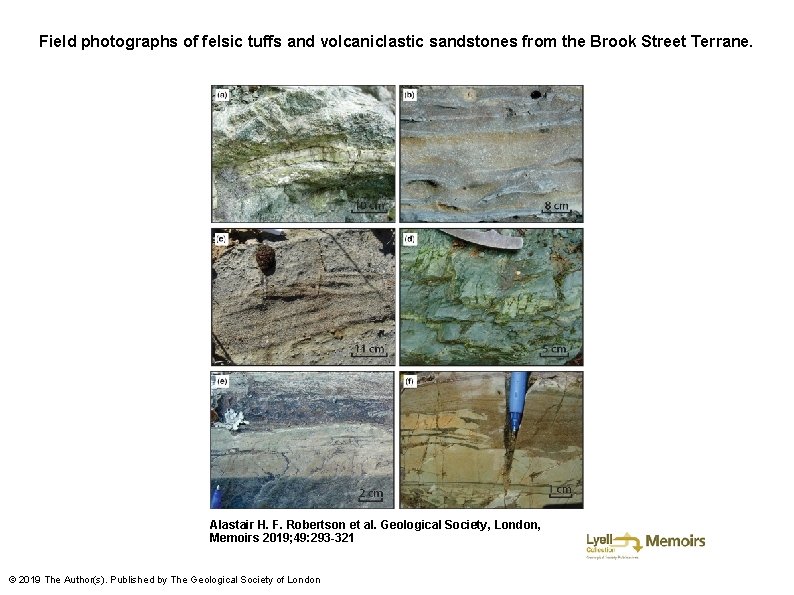 Field photographs of felsic tuffs and volcaniclastic sandstones from the Brook Street Terrane. Alastair