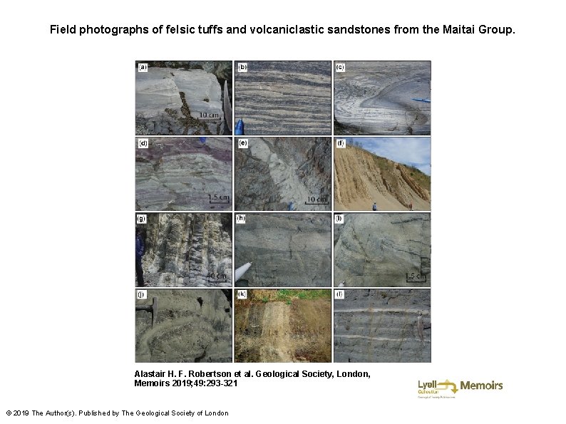 Field photographs of felsic tuffs and volcaniclastic sandstones from the Maitai Group. Alastair H.