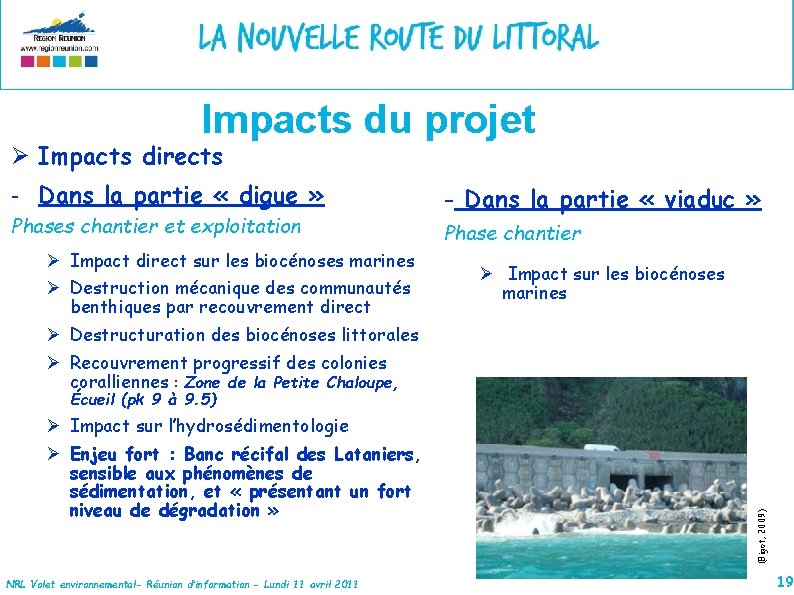 Impacts du projet Ø Impacts directs - Dans la partie « digue » Phases