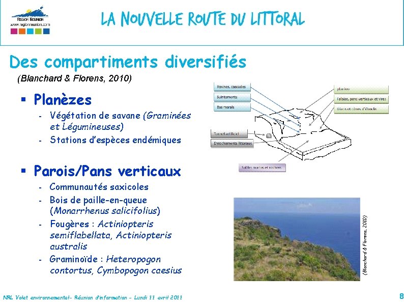 Des compartiments diversifiés (Blanchard & Florens, 2010) § Planèzes - Végétation de savane (Graminées