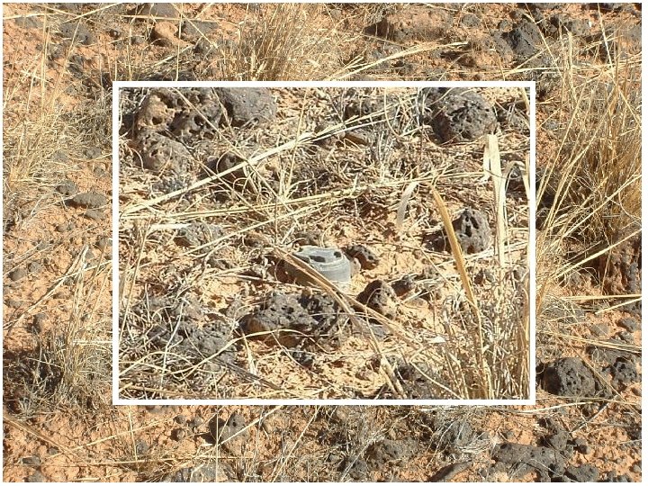 Case study in Jordan 1 