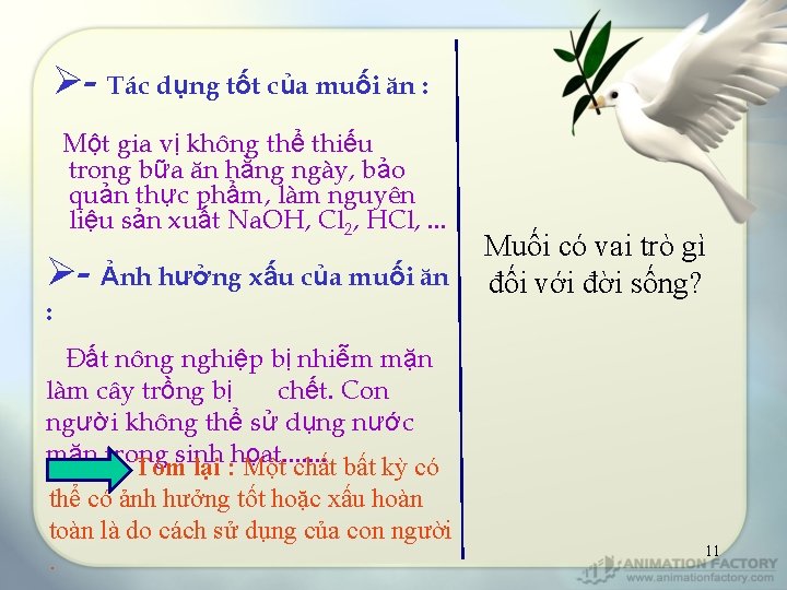 Ø- Tác dụng tốt của muối ăn : Một gia vị không thể thiếu