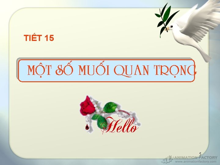 TIẾT 15 MOÄT SOÁ MUOÁI QUAN TROÏNG 5 