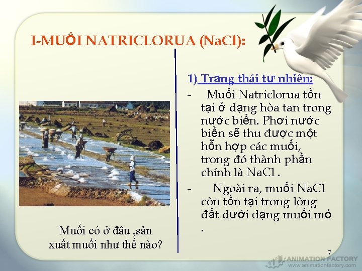 I-MUỐI NATRICLORUA (Na. Cl): Muối có ở đâu , sản xuất muối như thế