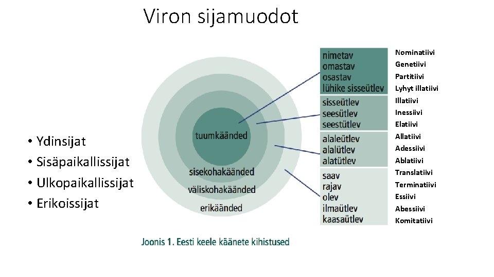 Viron sijamuodot • Ydinsijat • Sisäpaikallissijat • Ulkopaikallissijat • Erikoissijat Nominatiivi Genetiivi Partitiivi Lyhyt