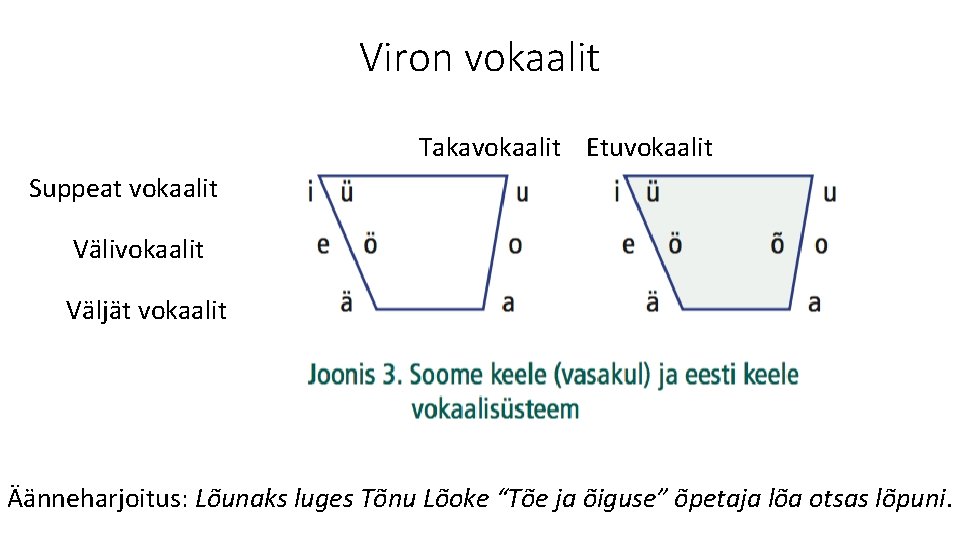 Viron vokaalit Takavokaalit Etuvokaalit Suppeat vokaalit Välivokaalit Väljät vokaalit Äänneharjoitus: Lõunaks luges Tõnu Lõoke