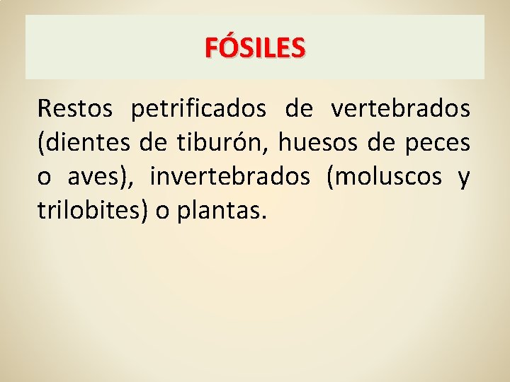 FÓSILES Restos petrificados de vertebrados (dientes de tiburón, huesos de peces o aves), invertebrados