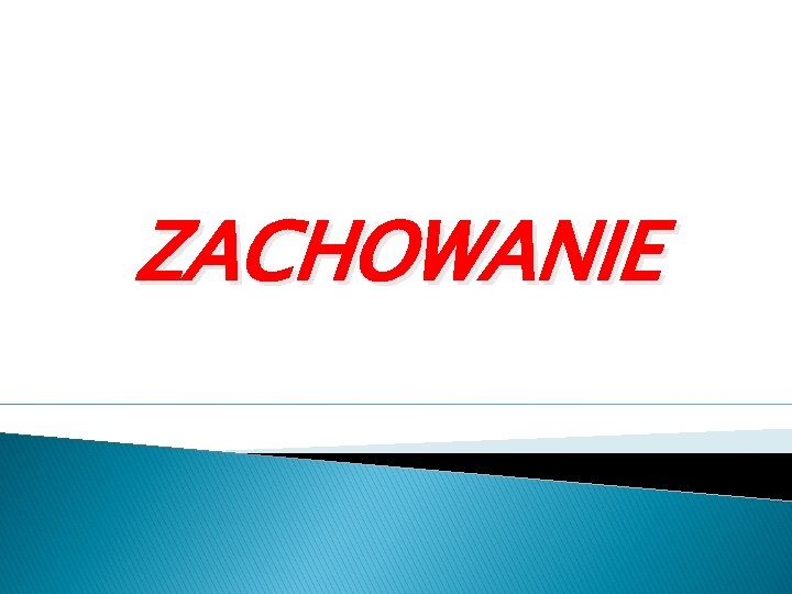 ZACHOWANIE 