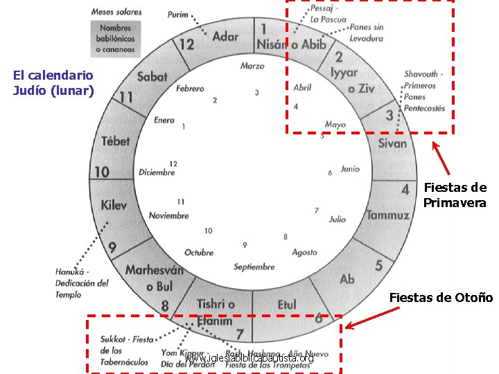 El calendario Judío (lunar) Fiestas de Primavera Fiestas de Otoño www. iglesiabiblicabautista. org 