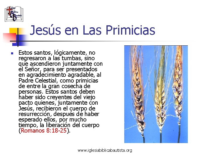 Jesús en Las Primicias n Estos santos, lógicamente, no regresaron a las tumbas, sino Jesús en Las Primicias n Estos santos, lógicamente, no regresaron a las tumbas, sino