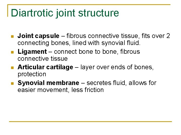 Diartrotic joint structure n n Joint capsule – fibrous connective tissue, fits over 2