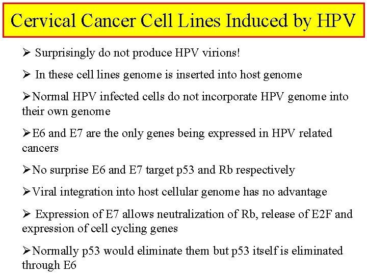 Cervical Cancer Cell Lines Induced by HPV Ø Surprisingly do not produce HPV virions!