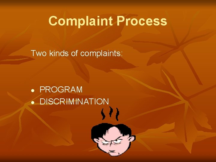 Complaint Process Two kinds of complaints: l l PROGRAM DISCRIMINATION 