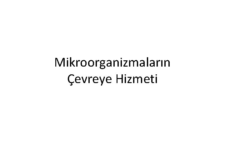 Mikroorganizmaların Çevreye Hizmeti 