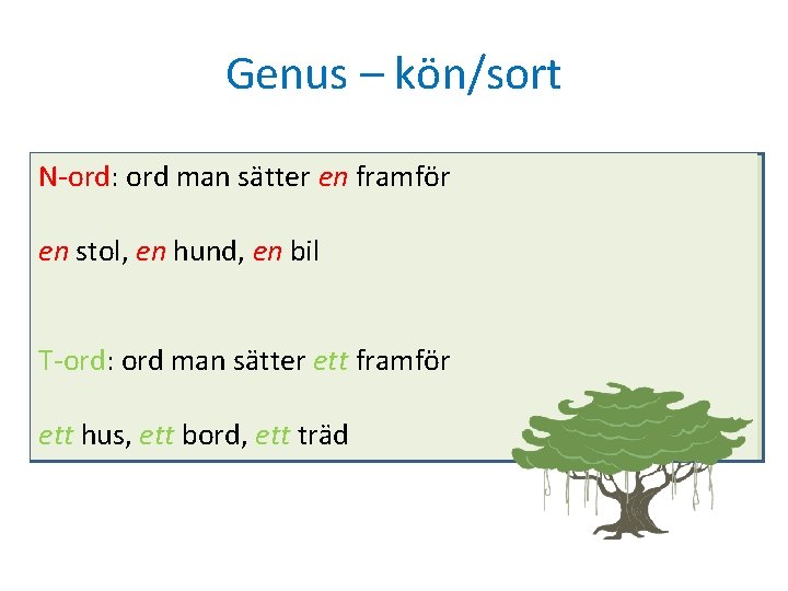 Genus – kön/sort N-ord: ord man sätter en framför en stol, en hund, en