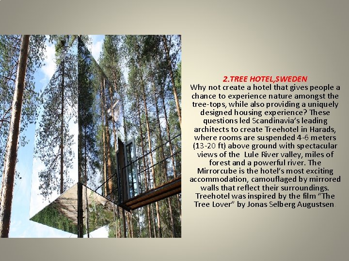 2. TREE HOTEL, SWEDEN Why not create a hotel that gives people a chance