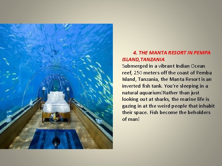 4. THE MANTA RESORT IN PEMPA ISLAND, TANZANIA Submerged in a vibrant Indian Ocean