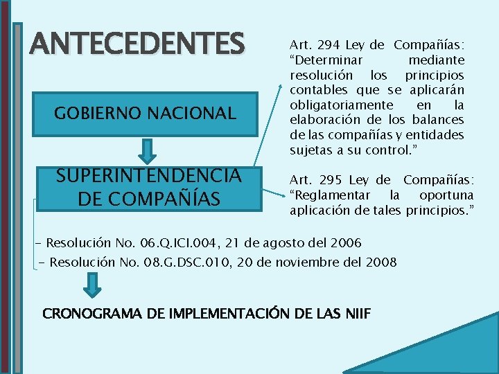 ANTECEDENTES GOBIERNO NACIONAL SUPERINTENDENCIA DE COMPAÑÍAS Art. 294 Ley de Compañías: “Determinar mediante resolución