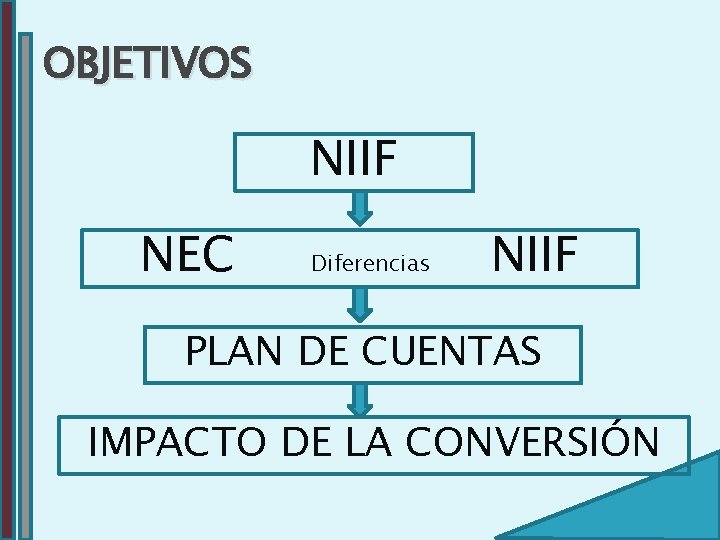 OBJETIVOS NIIF NEC Diferencias NIIF PLAN DE CUENTAS IMPACTO DE LA CONVERSIÓN 