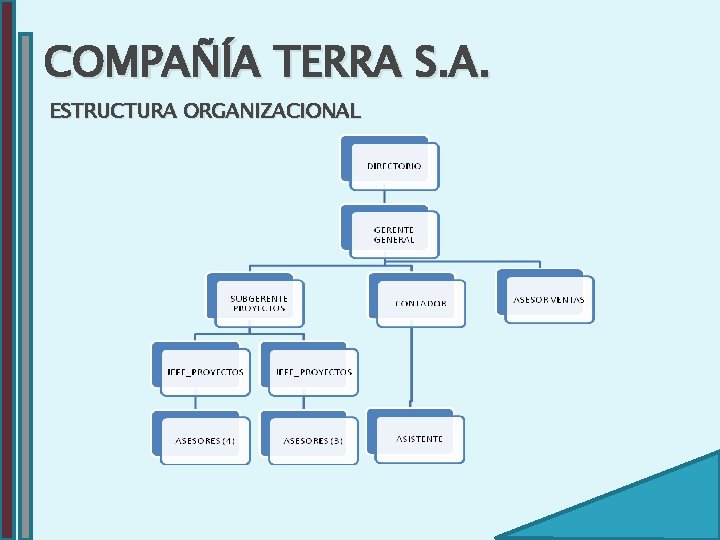 COMPAÑÍA TERRA S. A. ESTRUCTURA ORGANIZACIONAL 