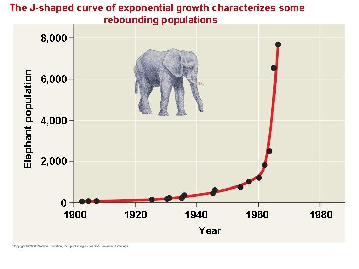The J-shaped curve of exponential growth characterizes some rebounding populations Elephant population 8, 000