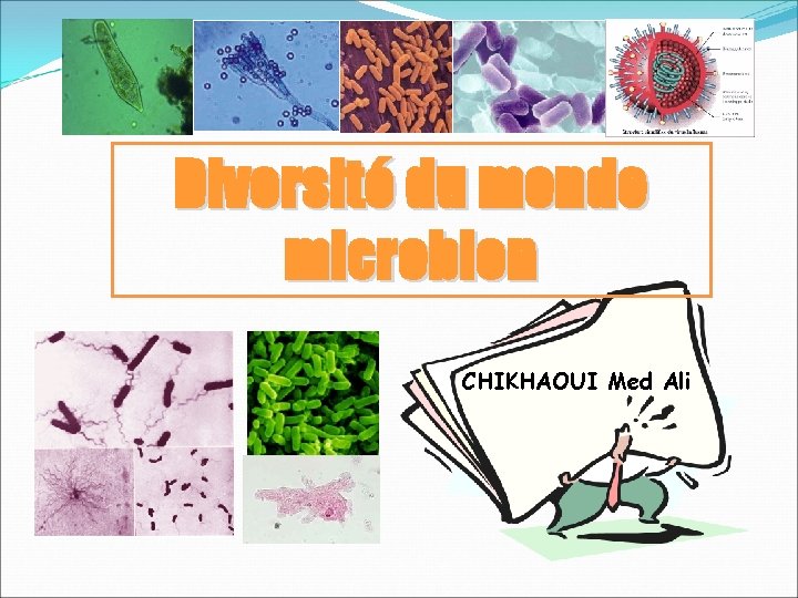 Diversité du monde microbien CHIKHAOUI Med Ali 