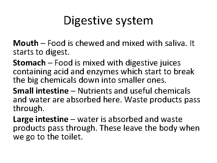 Digestive system Mouth – Food is chewed and mixed with saliva. It starts to