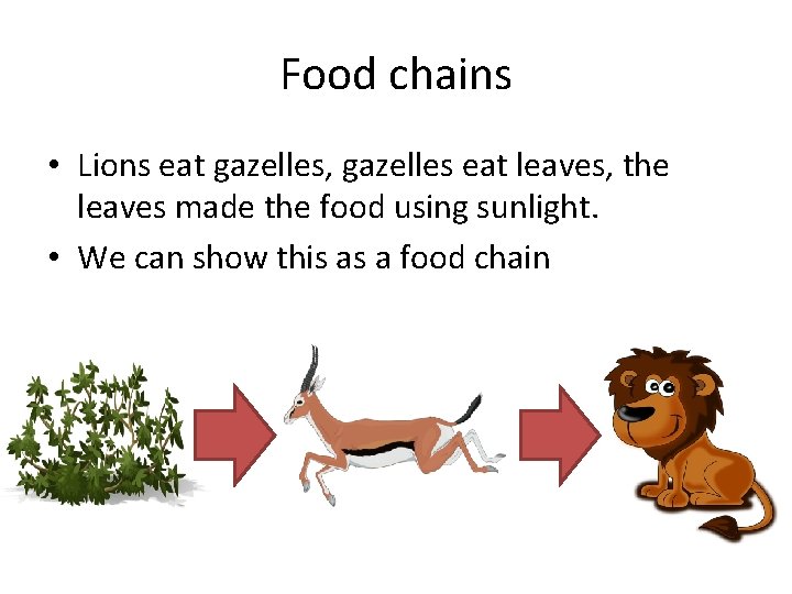 Food chains • Lions eat gazelles, gazelles eat leaves, the leaves made the food