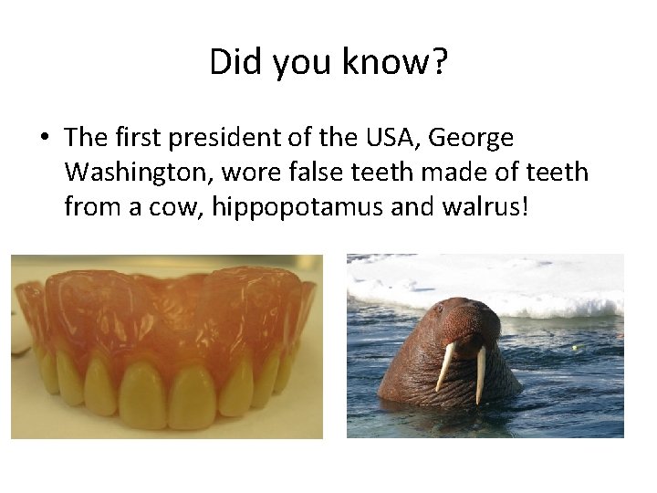 Did you know? • The first president of the USA, George Washington, wore false