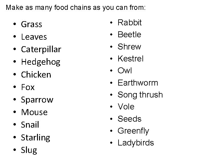 Make as many food chains as you can from: • • • Grass Leaves