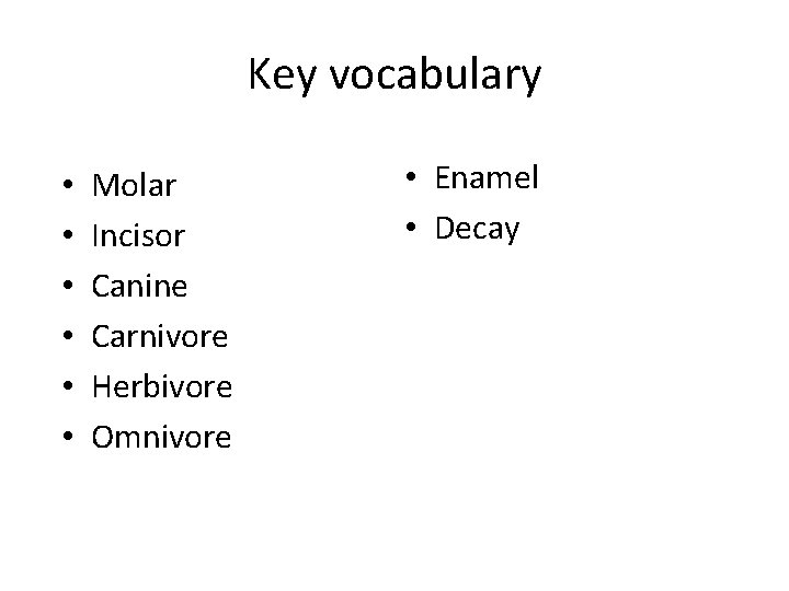 Key vocabulary • • • Molar Incisor Canine Carnivore Herbivore Omnivore • Enamel •