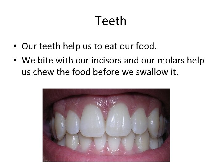Teeth • Our teeth help us to eat our food. • We bite with