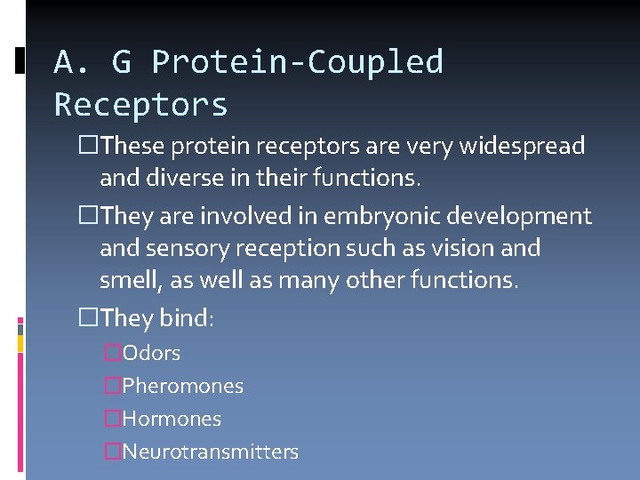 A. G Protein-Coupled Receptors �These protein receptors are very widespread and diverse in their