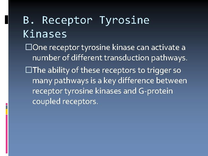 B. Receptor Tyrosine Kinases �One receptor tyrosine kinase can activate a number of different