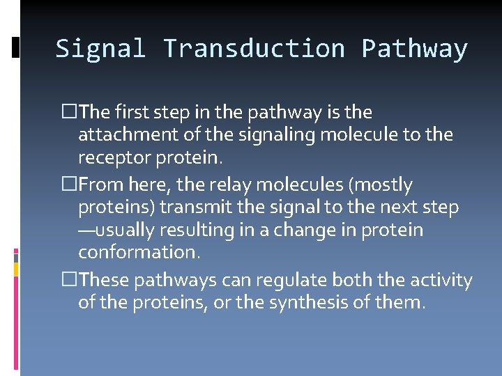 Signal Transduction Pathway �The first step in the pathway is the attachment of the