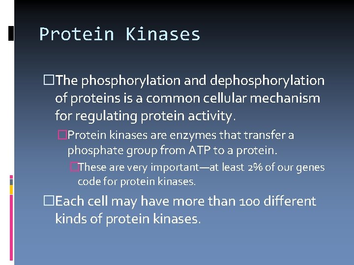 Protein Kinases �The phosphorylation and dephosphorylation of proteins is a common cellular mechanism for