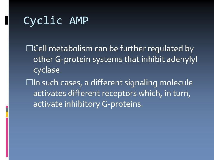 Cyclic AMP �Cell metabolism can be further regulated by other G-protein systems that inhibit